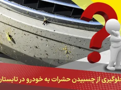 جلوگیری از چسبیدن حشرات به خودرو در تابستان